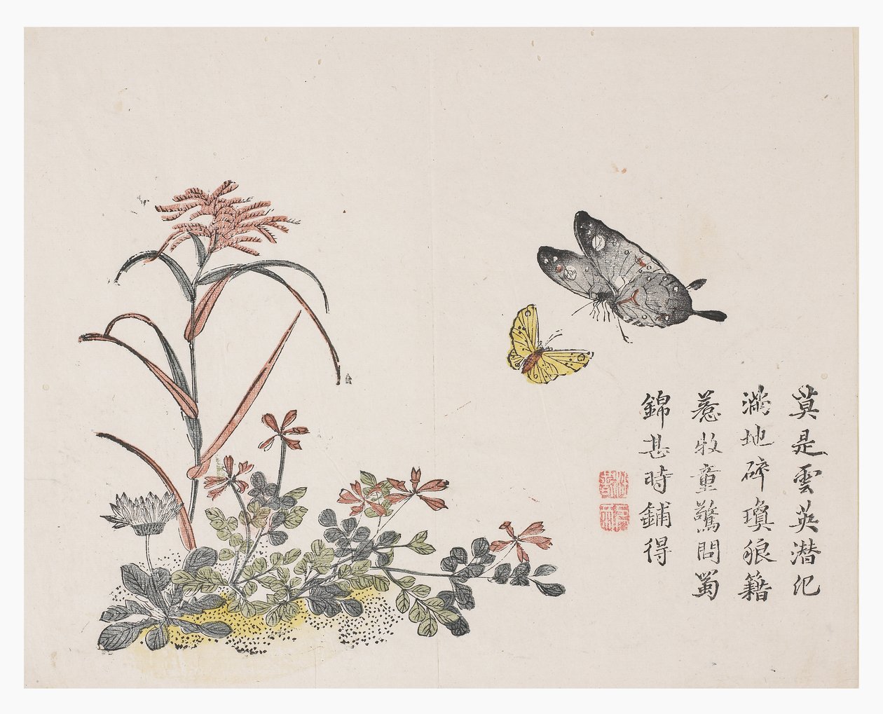 Jardín de Semillas de Mostaza de Chinese School
