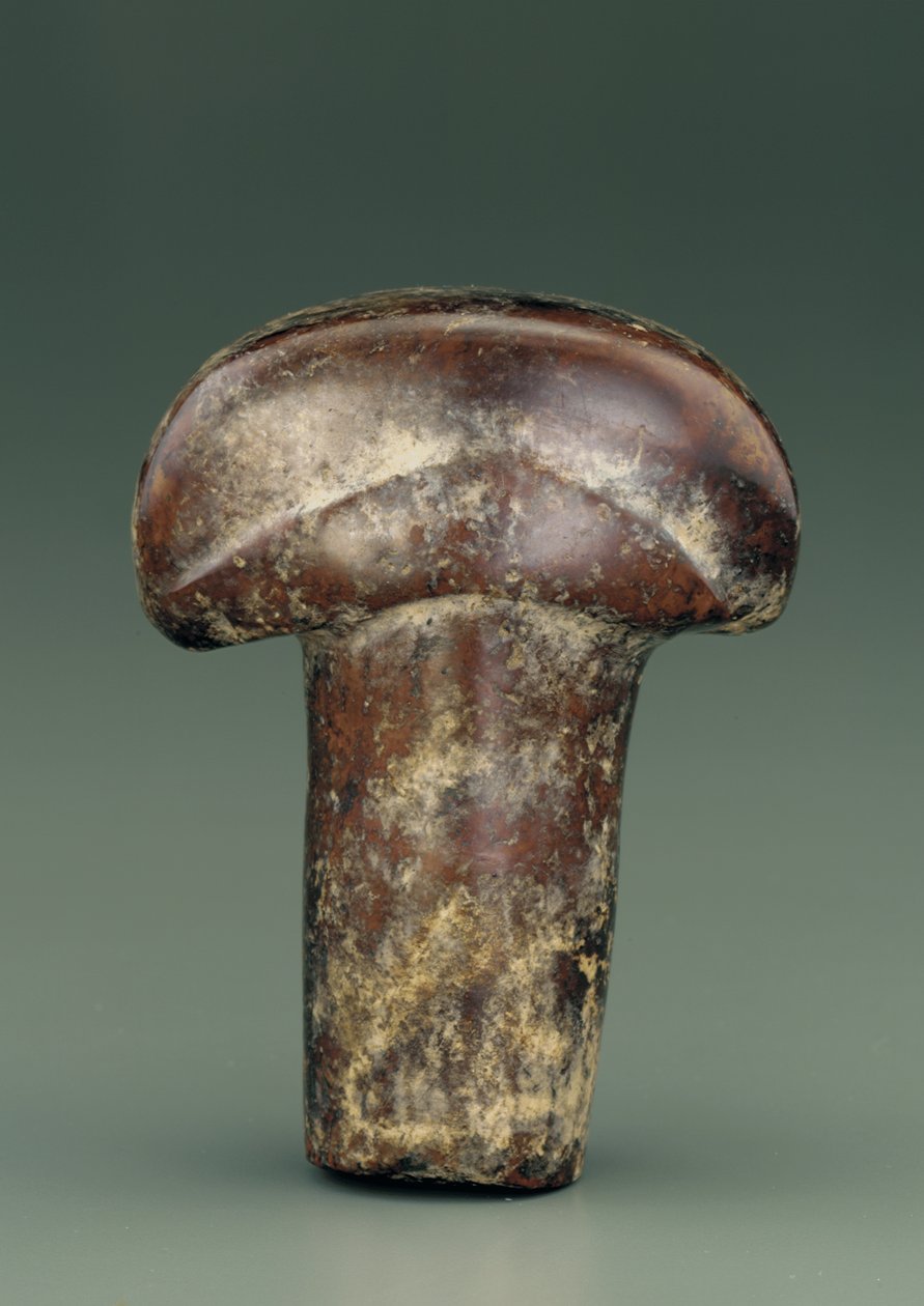 Objeto en forma de varilla ovalada coronada por un grueso pomo semicircular (serpentina) de Chinese School