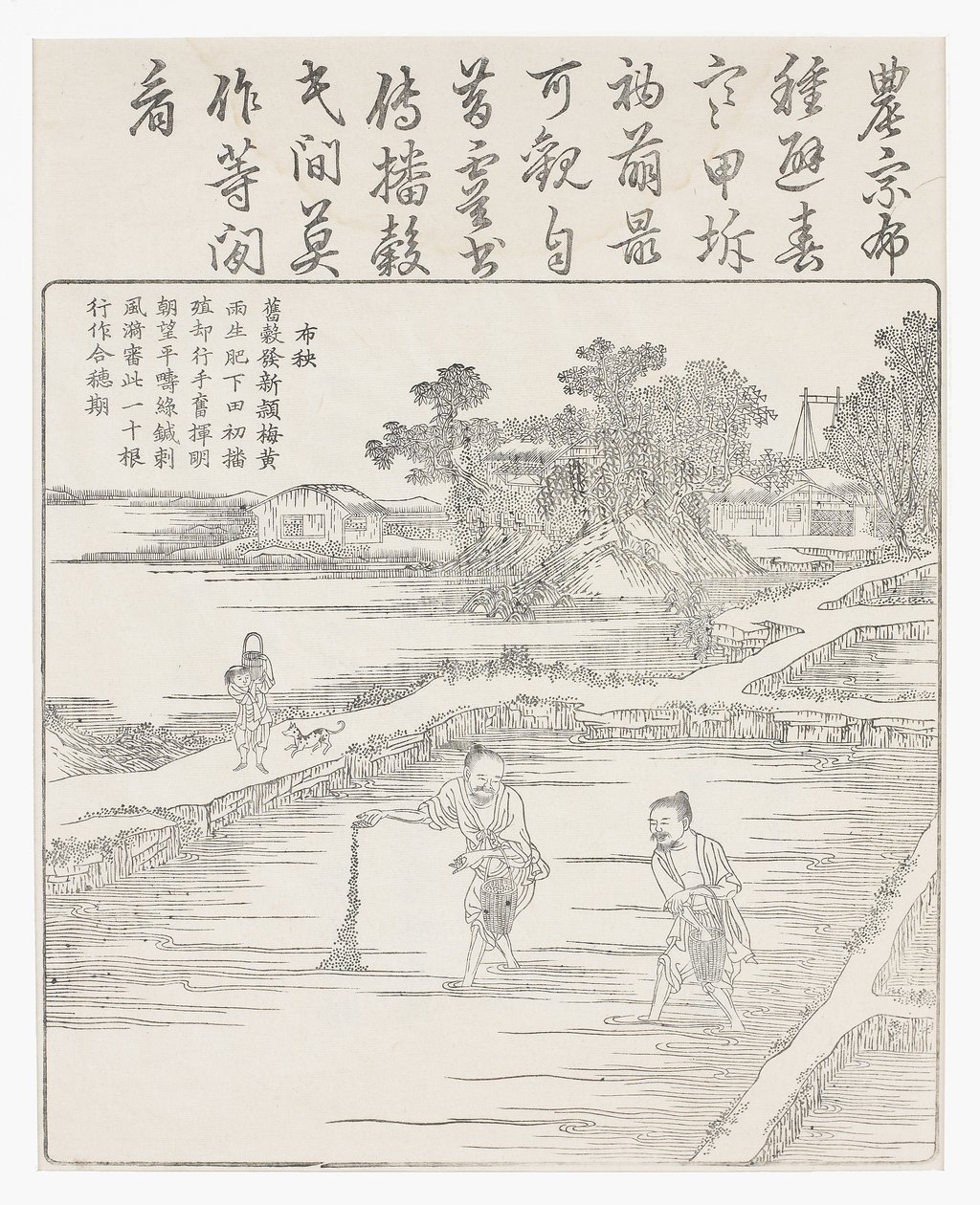 Sembrando el arroz en un semillero, siglo XVIII de Chinese School
