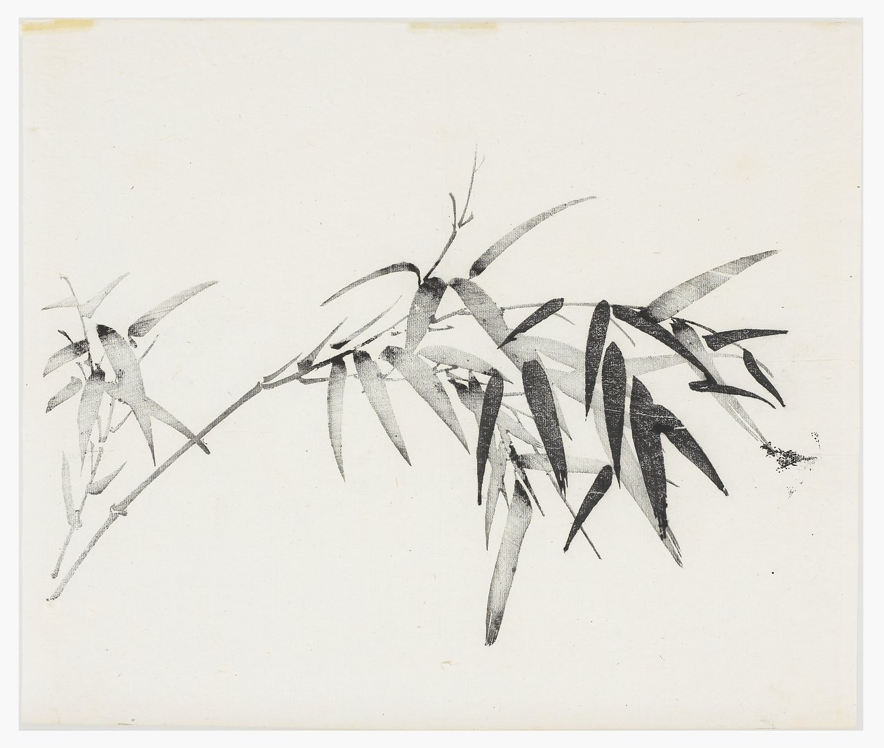 Serie de Diez Bambúes, siglo XVIII de Chinese School