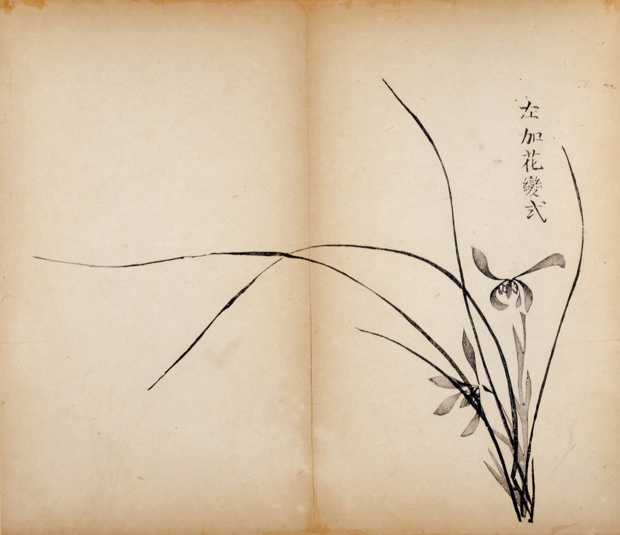 Impresiones del Estudio de los Diez Bambúes, 1643 de Chinese School