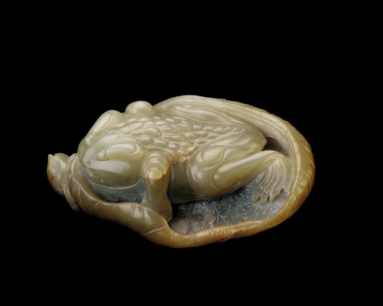 Sapo en una hoja de loto, 1500-1700 de Chinese School