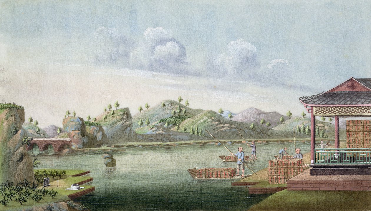 Transporte de cajas de té de Chinese School