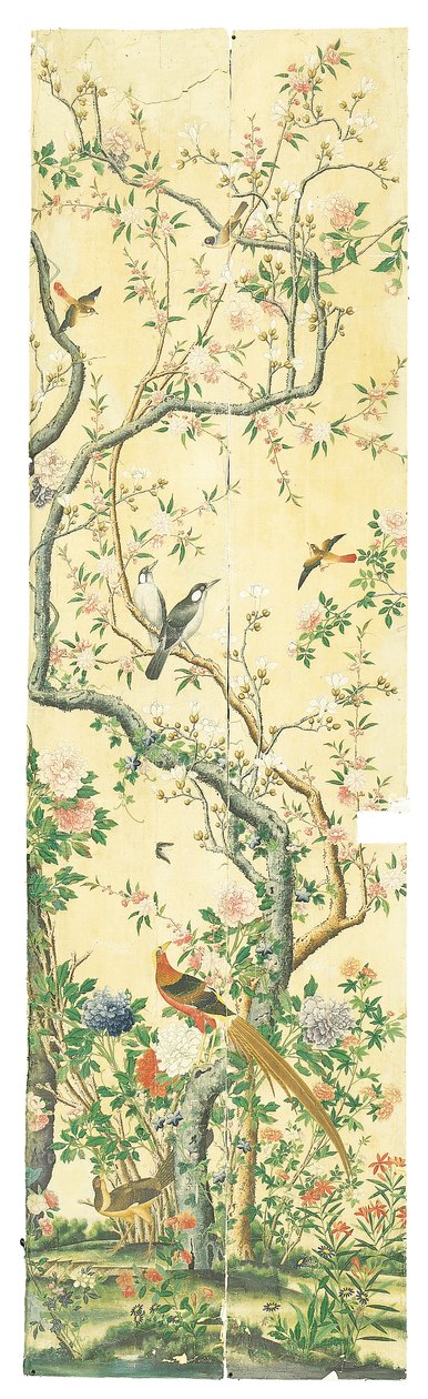 Imagen desconocida de Chinese School