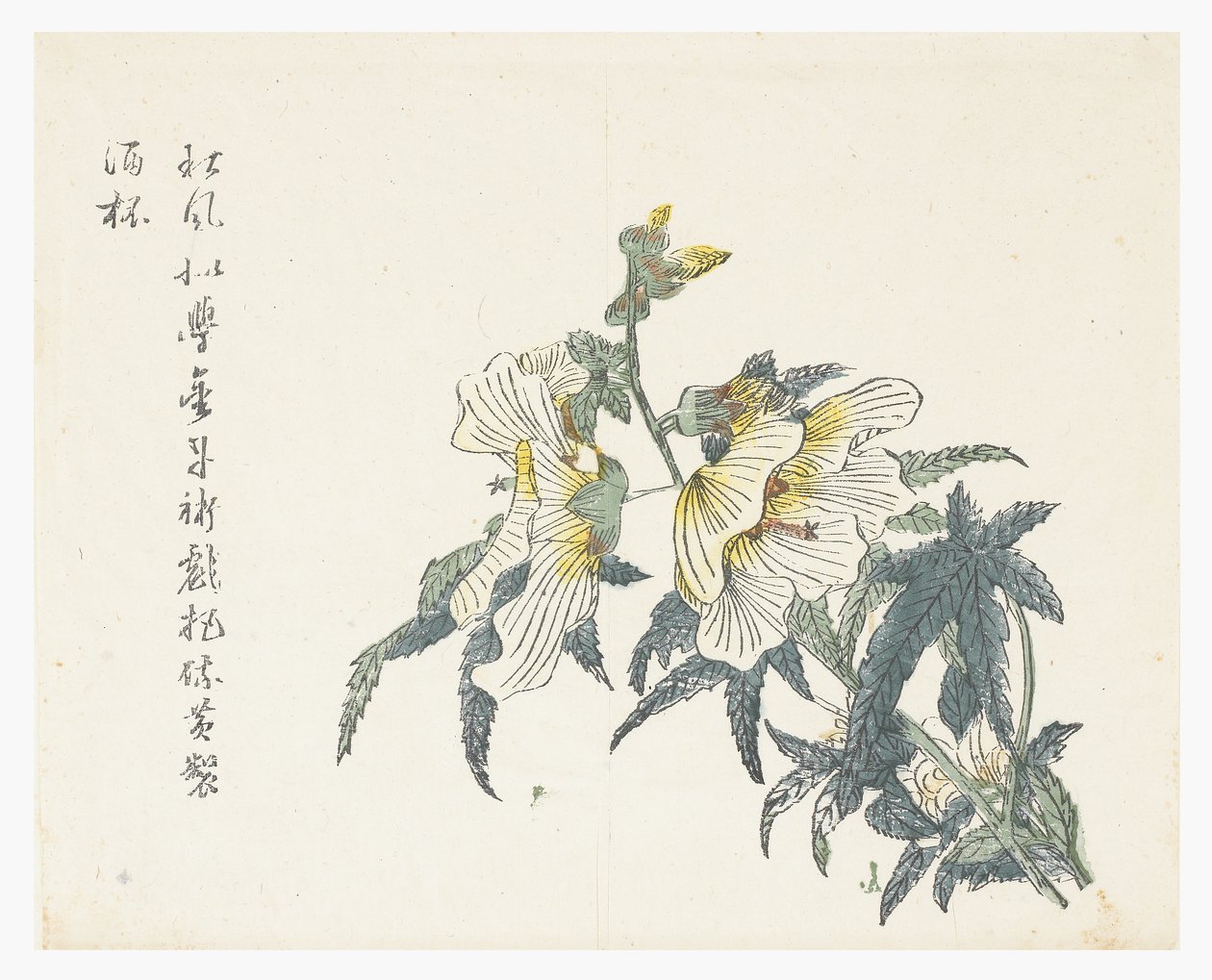 Jardín de semillas de mostaza de Chou Huang (after)