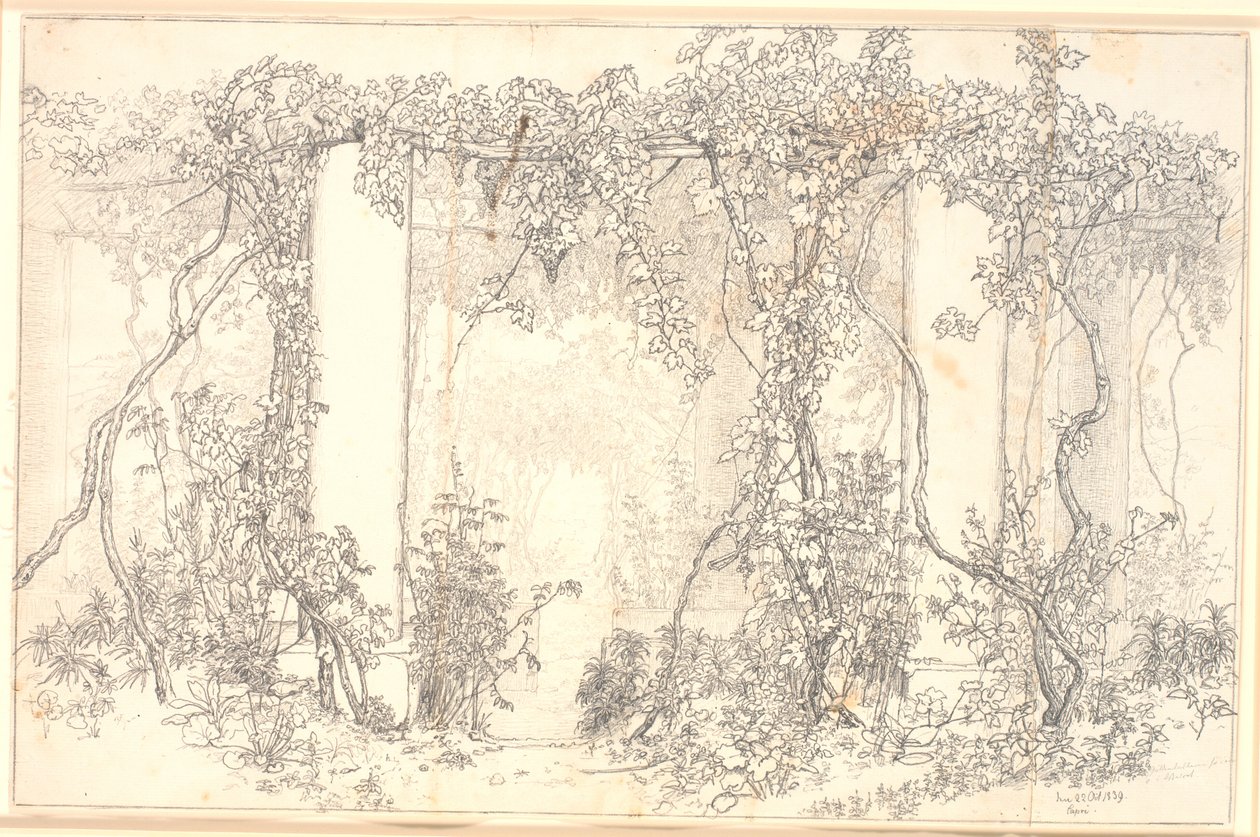 Estudio de una pérgola en Capri de Christen Købke