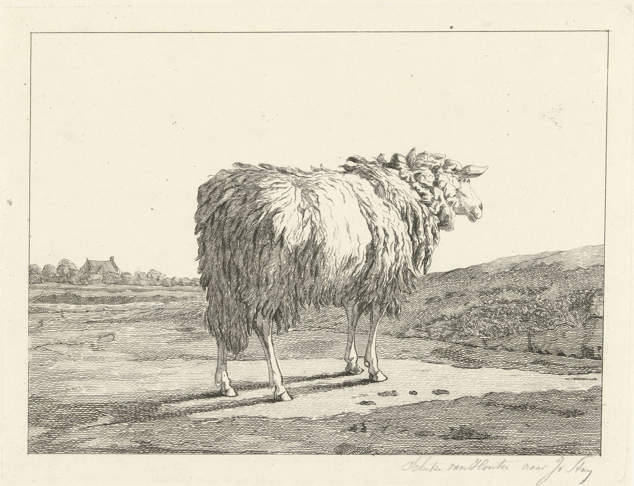 Ovejas en un paisaje de Christiaan Godfried Schutze van Houten