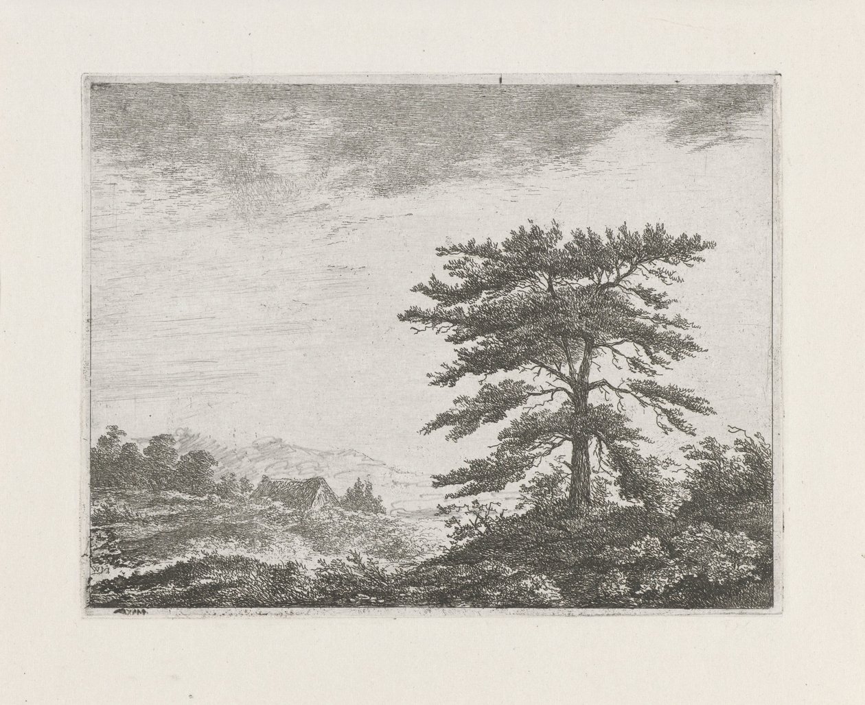Árbol en un paisaje de brezales de Christiaan Wilhelmus Moorrees