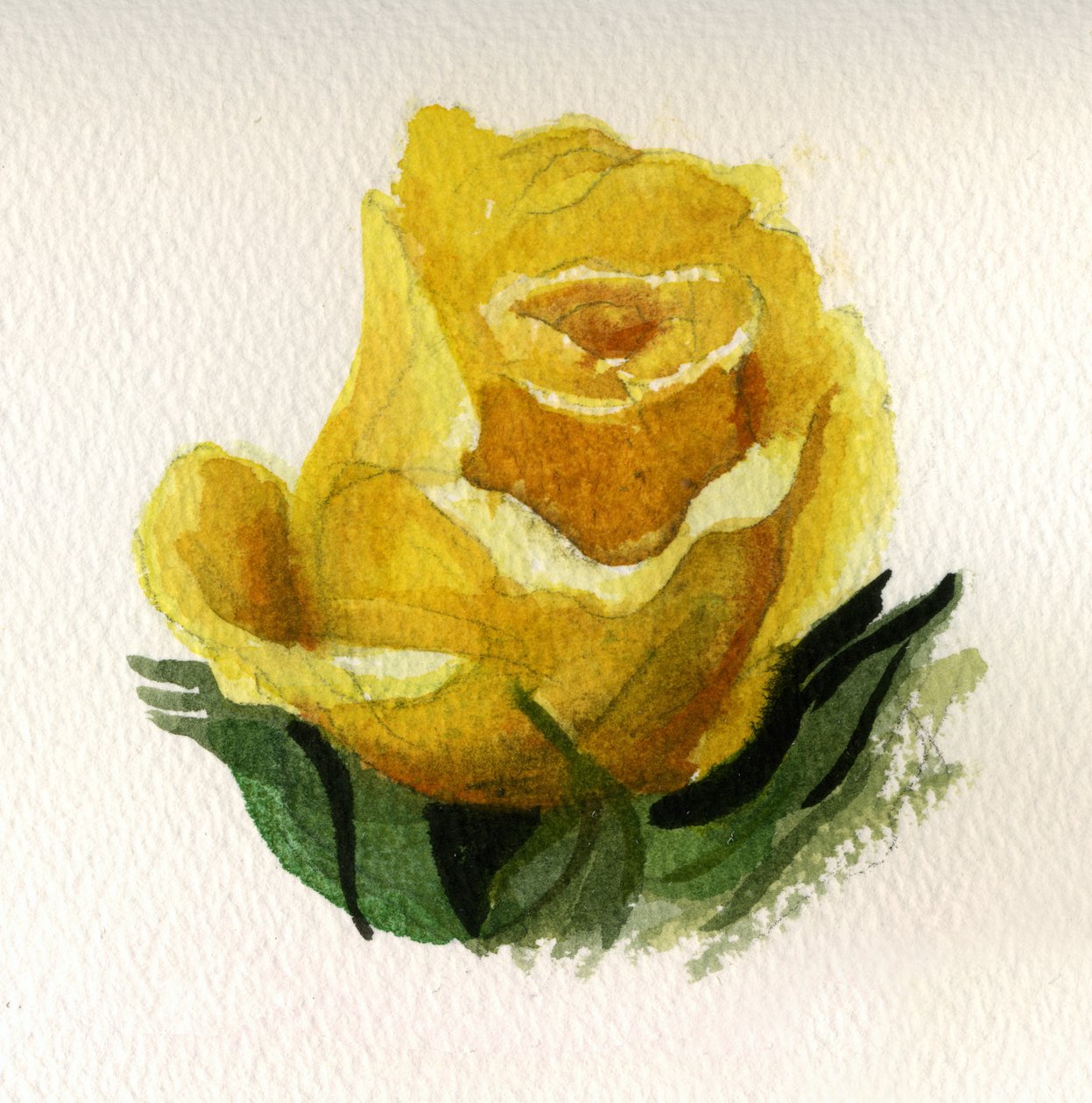 Rosa amarilla, 2009 (acuarela sobre papel) de Christian Furr