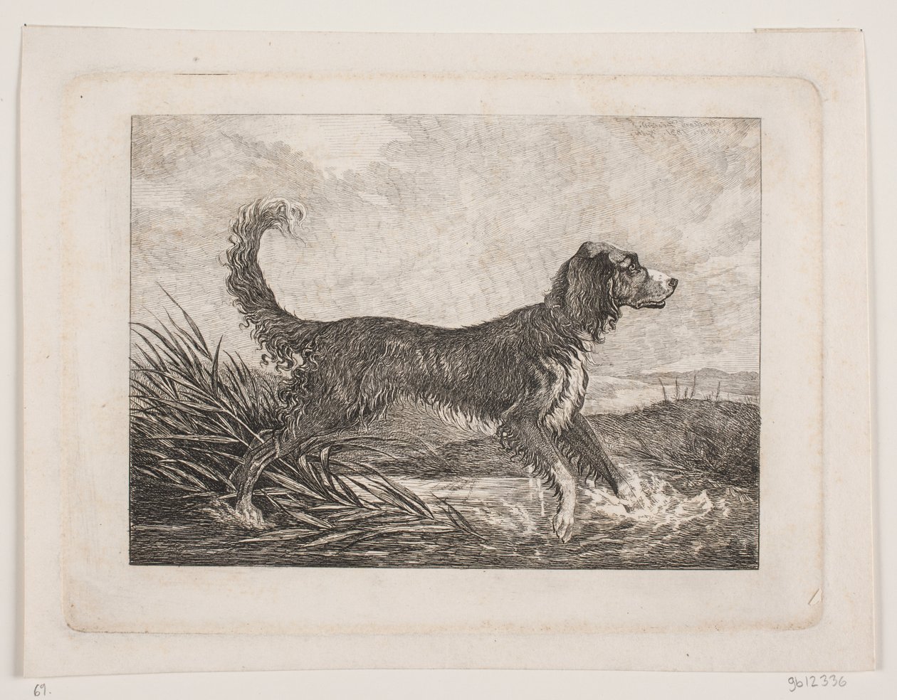 Un perro de Christian Holm