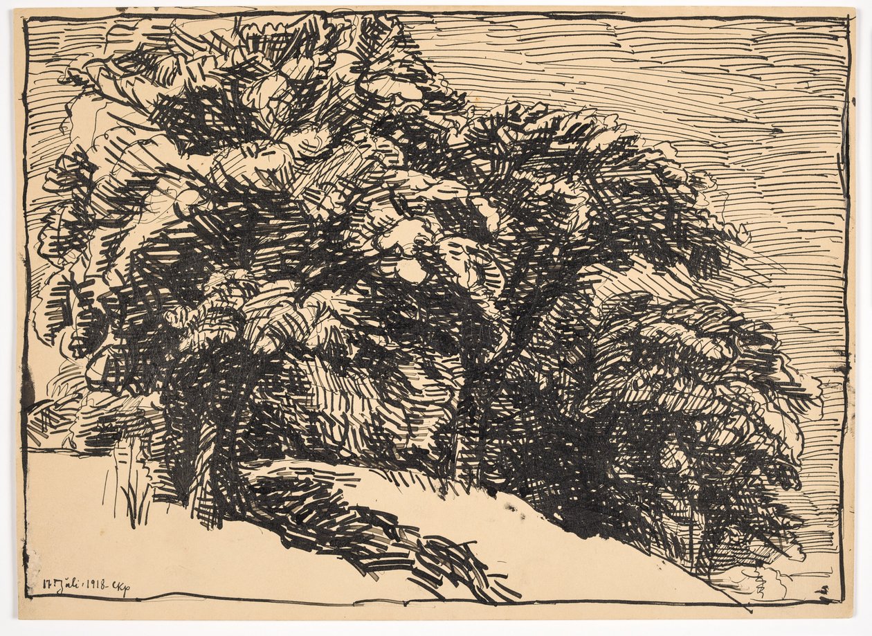 Robles en un borde de Christian Kongstad Petersen