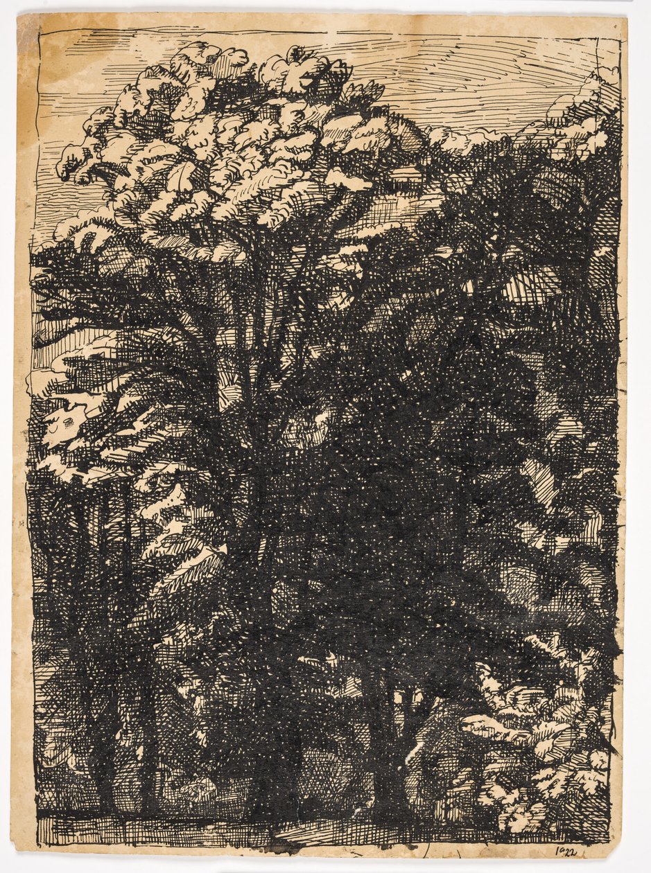 Árboles de Christian Kongstad Petersen