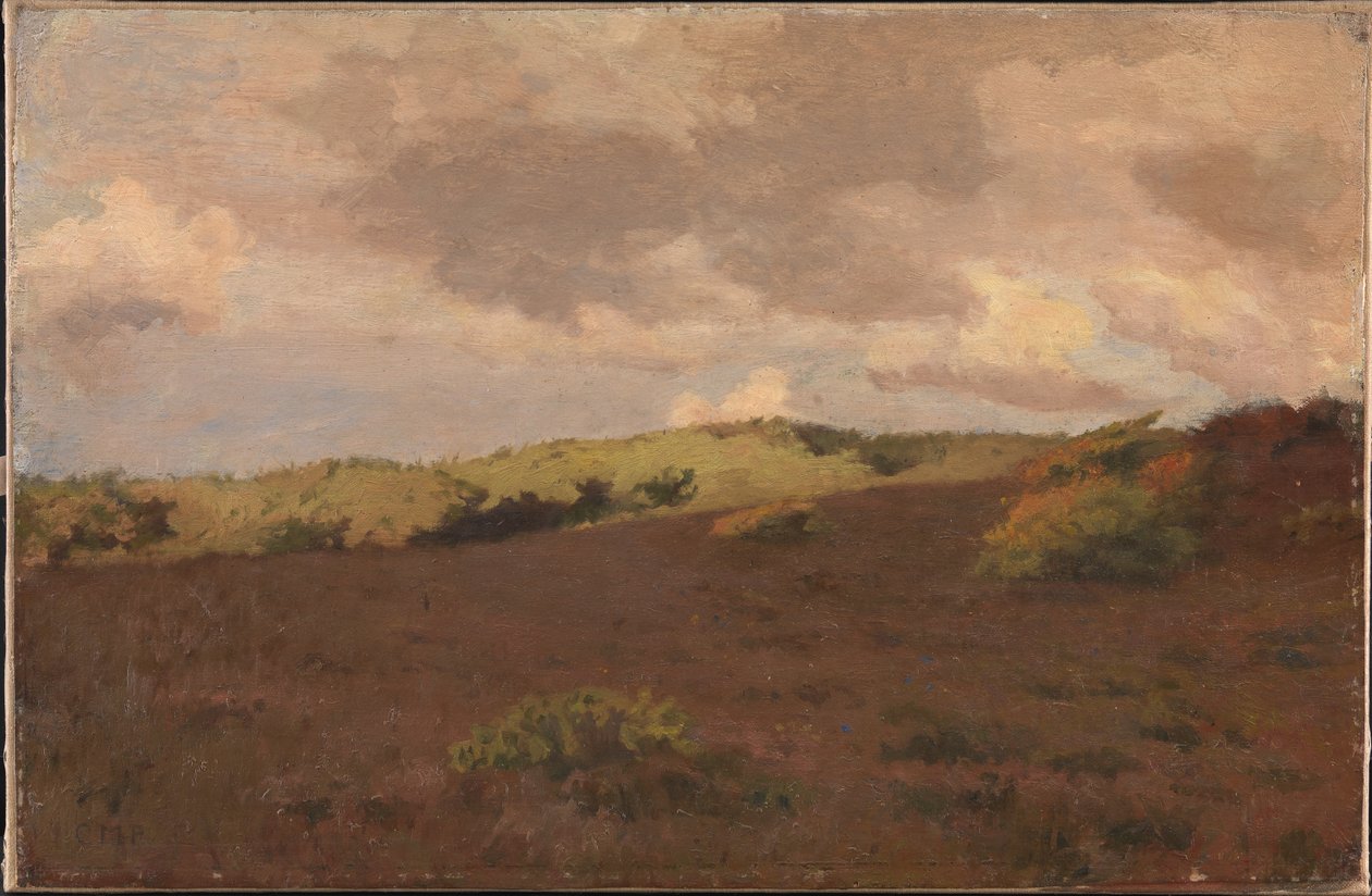 Paisaje de brezal. Otoño de Christian Mourier Petersen