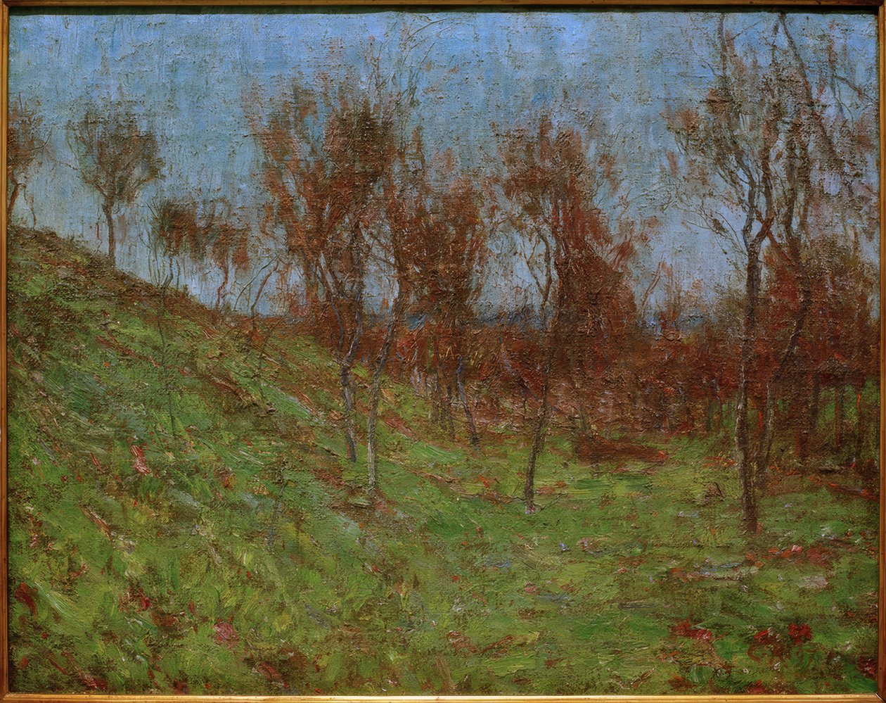 Pendiente de pradera de Christian Rohlfs