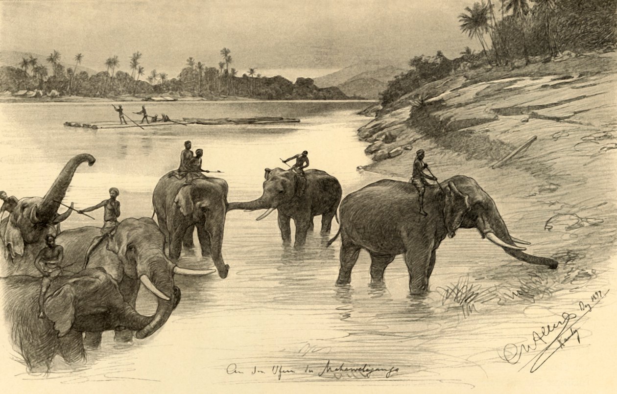 Elefantes en las orillas del río Mahaweli, Ceilán de Christian Wilhelm Allers