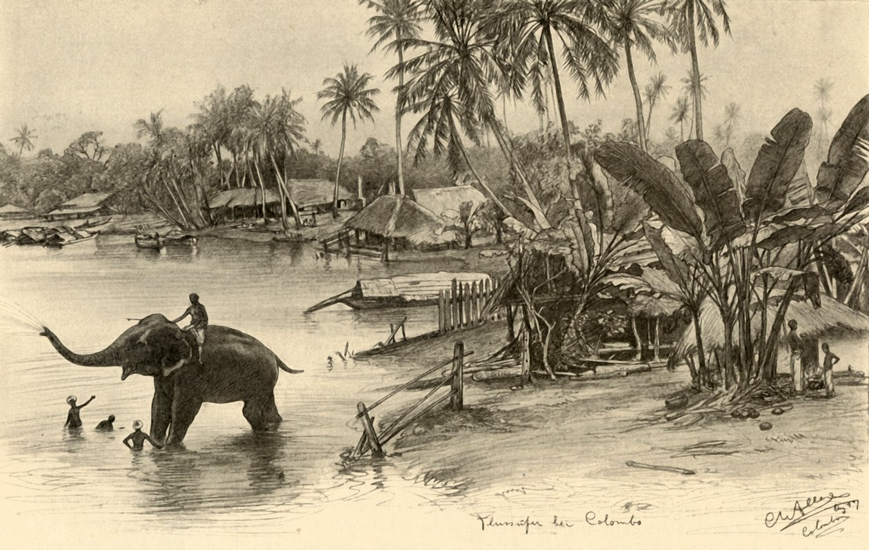 Lavando un elefante en el río, Colombo, Ceilán de Christian Wilhelm Allers