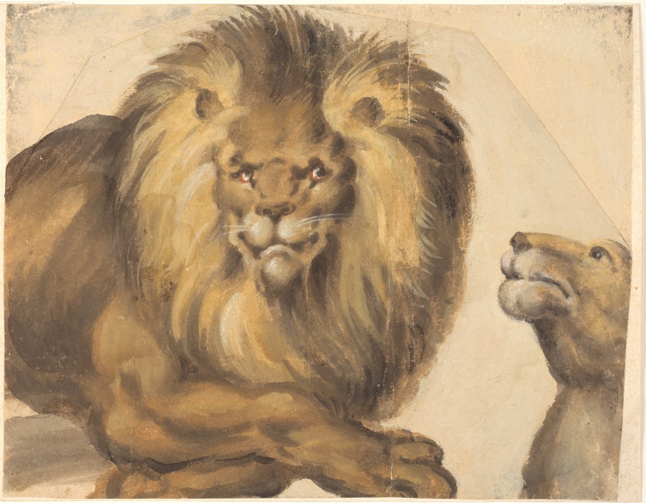 El torso de un león macho y la cabeza de una leona de Christoph Amberger