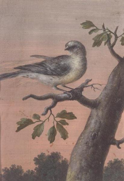 Un pájaro en una rama de Christoph Ludwig Agricola