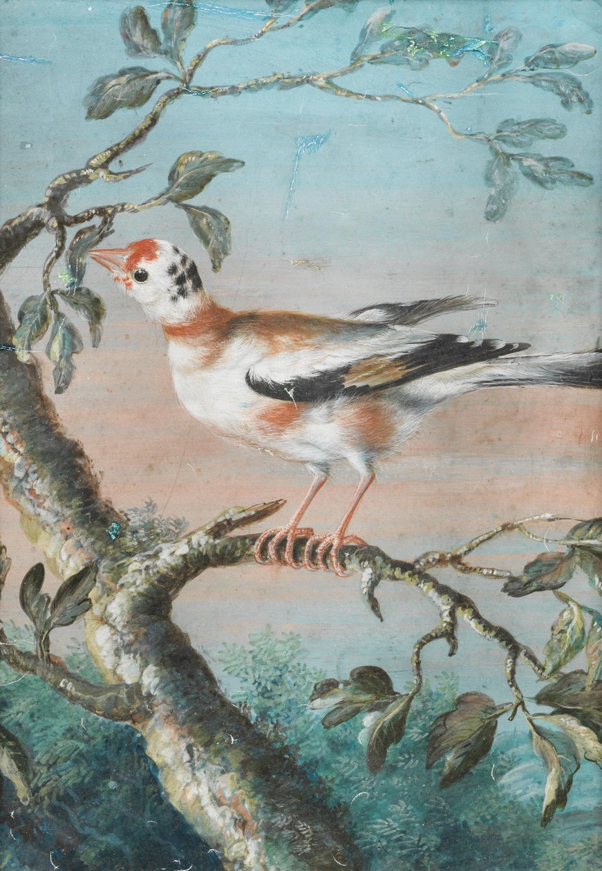 Un pájaro sentado en una rama de Christoph Ludwig Agricola