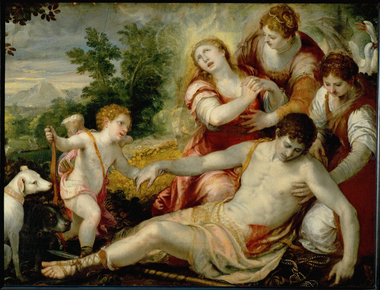 Muerte de Adonis ... (óleo sobre lienzo) de Christoph Schwartz