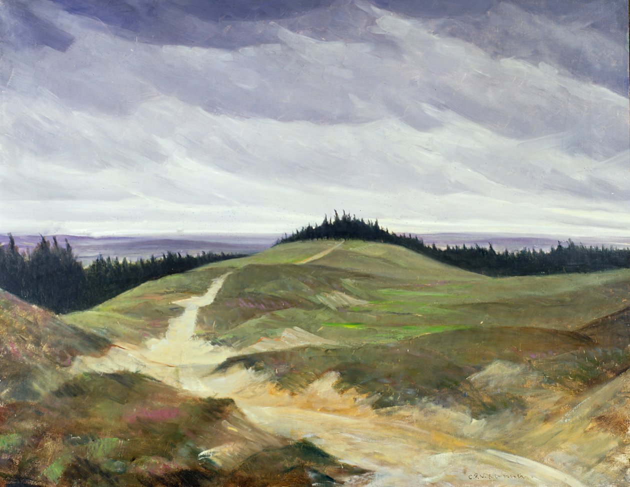 Camino arenoso de Christopher Richard Wynne Nevinson