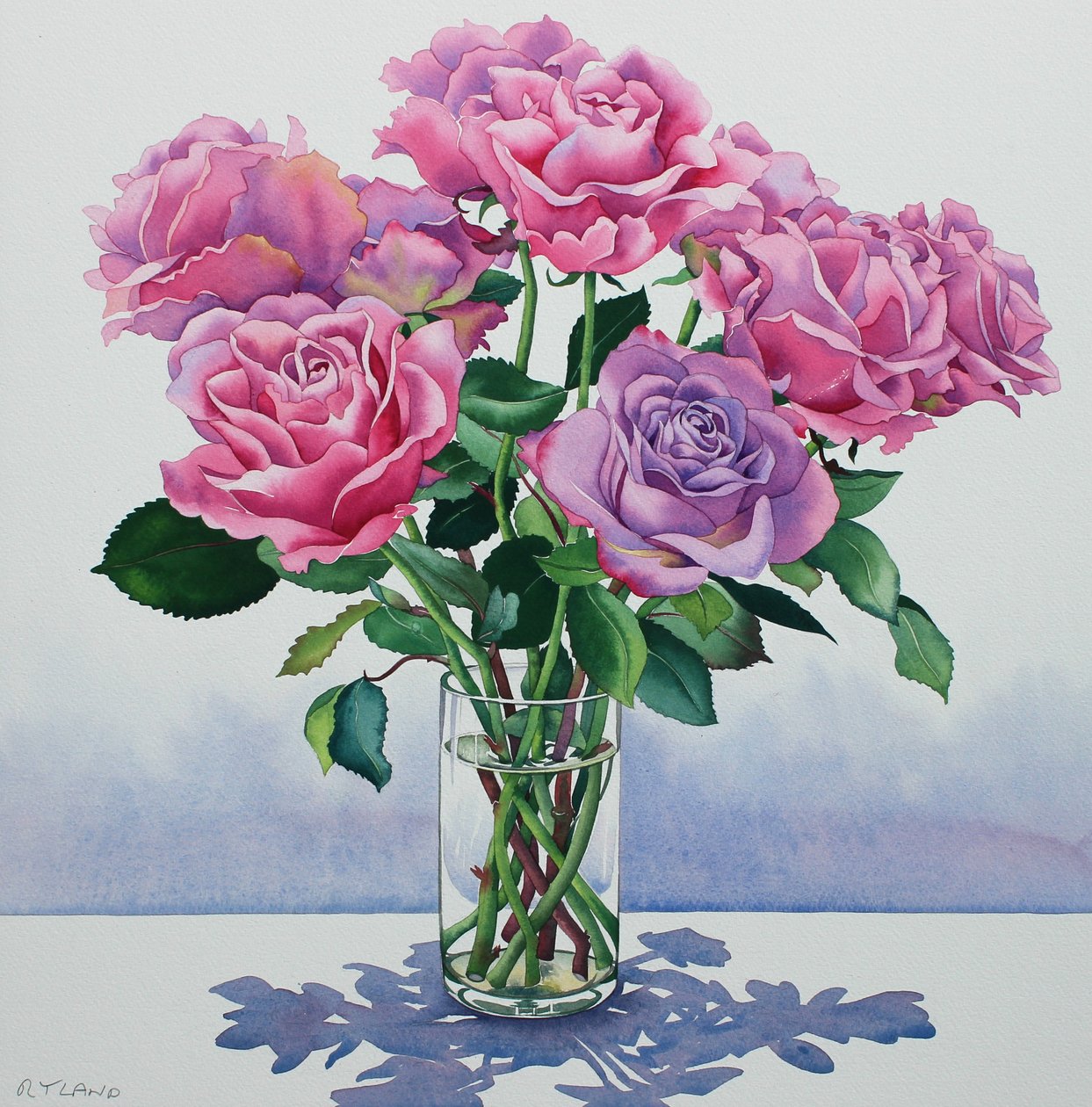 Rosas de avalancha de Christopher Ryland