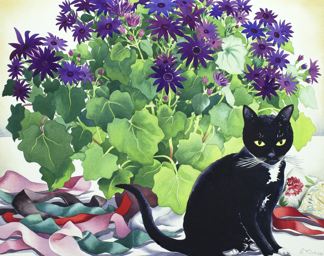 Planta de Senetti y gato de Christopher Ryland