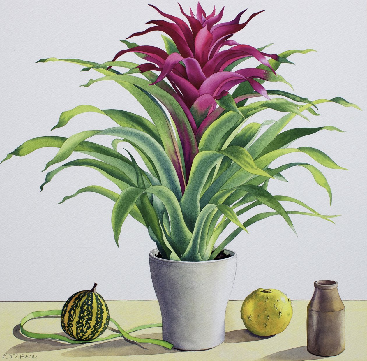 Naturaleza muerta con bromelia de Christopher Ryland