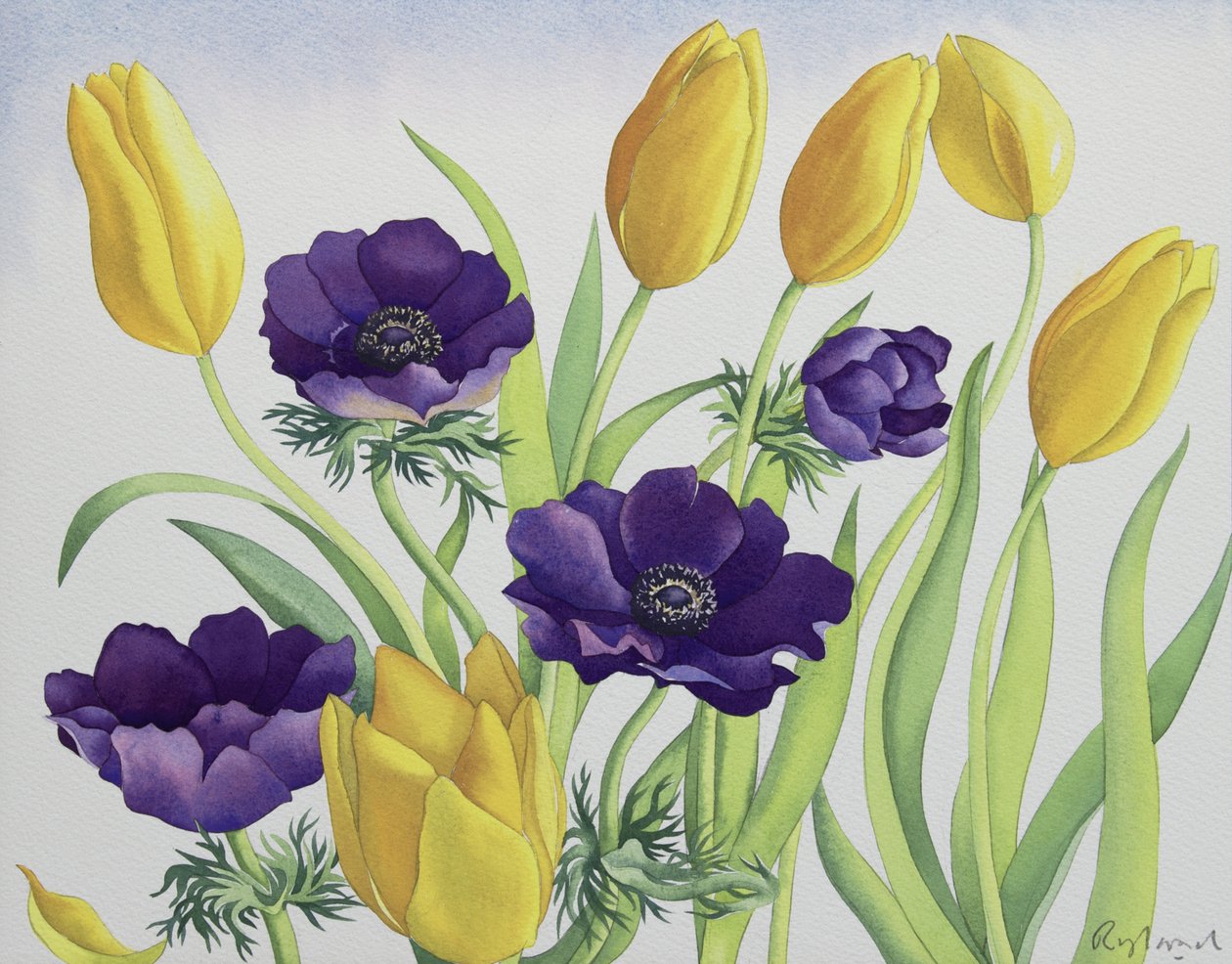 Tulipanes y anémonas de Christopher Ryland