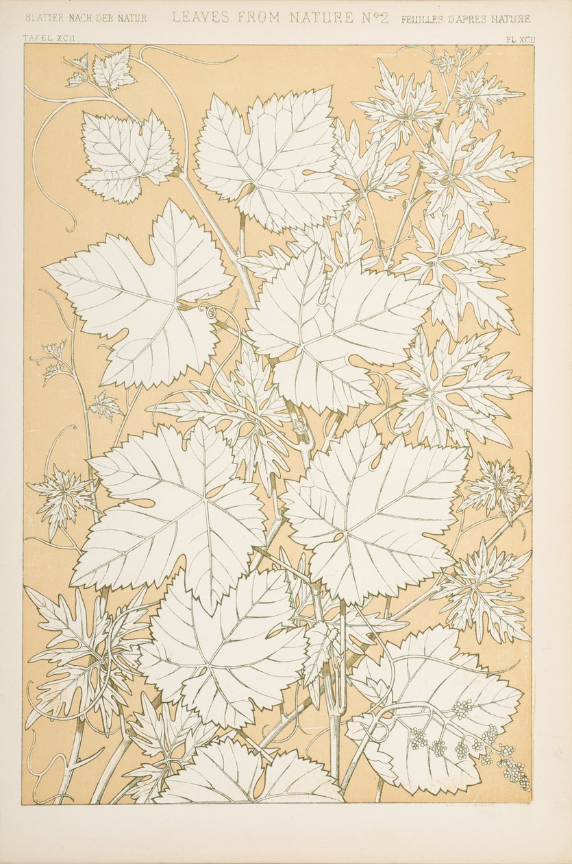 Hojas de la naturaleza, 1868 de Christopher Dresser