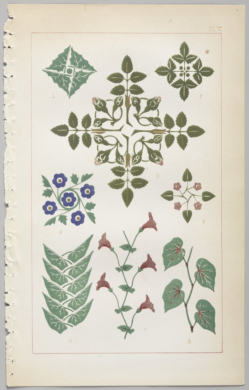 El arte del diseño decorativo: con un apéndice, dando las horas del día en que las flores se abren, publicado por Day & Son, Londres, 1862 de Christopher Dresser