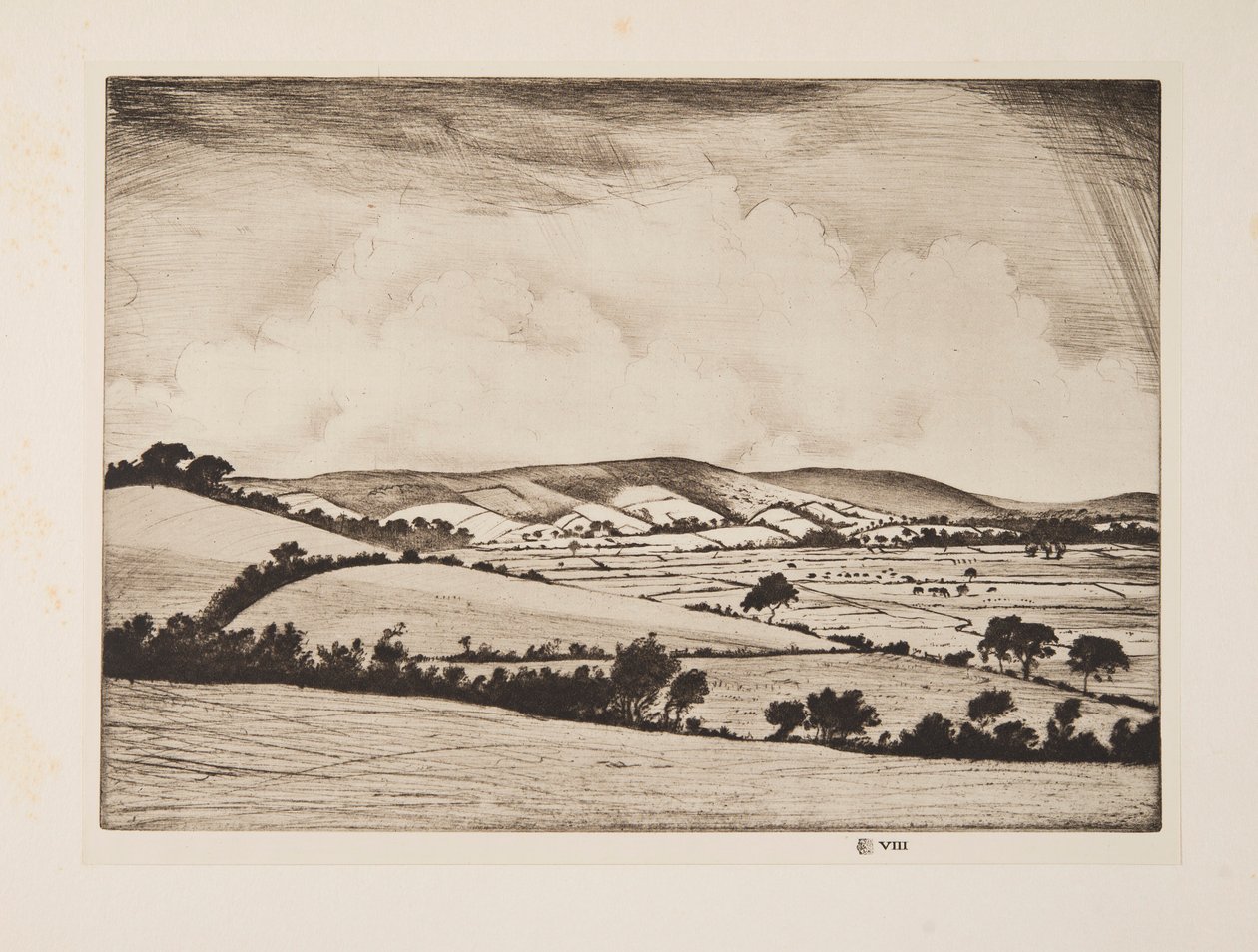 Un valle en los South Downs, pub. 1925 de Christopher Richard Wynne Nevinson