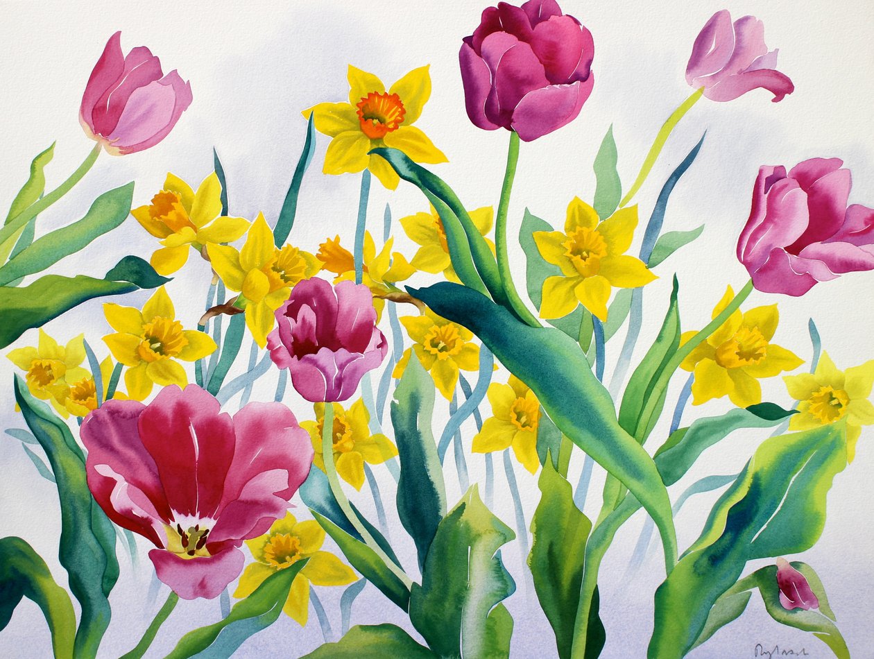 Narcisos y tulipanes de Christopher Ryland