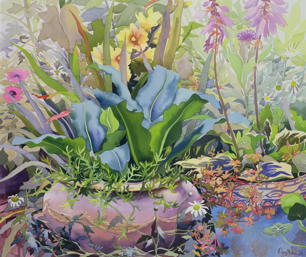 Jardín con Plantas, 2000 de Christopher Ryland