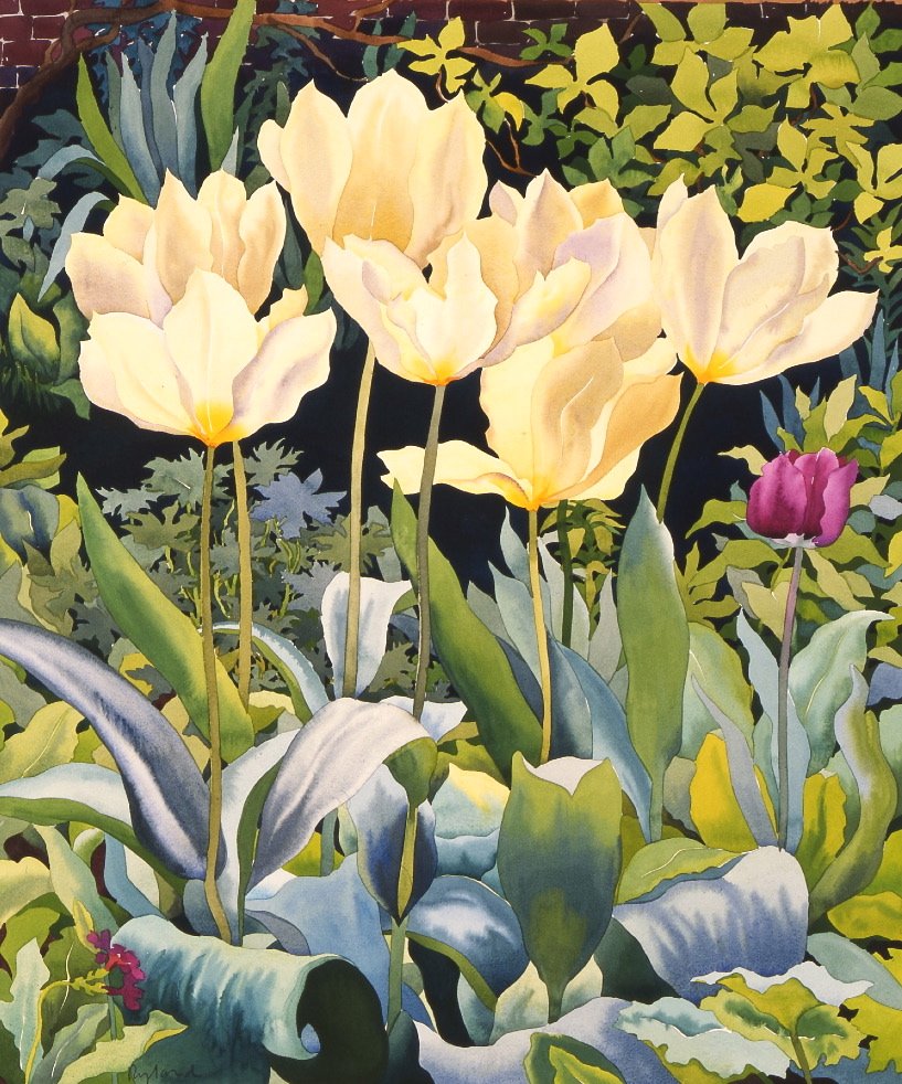 Tulipanes pálidos de Christopher Ryland