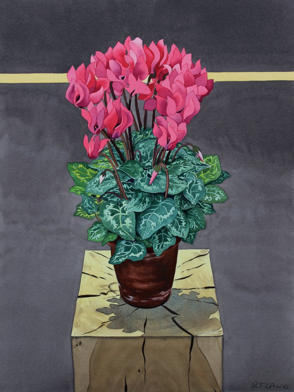 Naturaleza Muerta con Ciclámen de Christopher Ryland