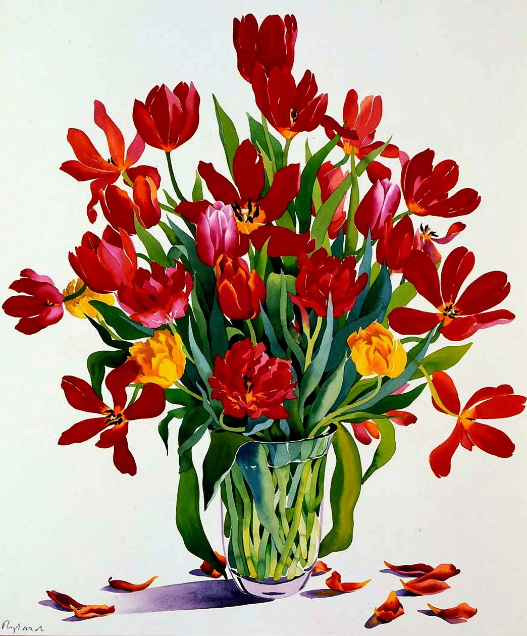 Tulipanes de Christopher Ryland