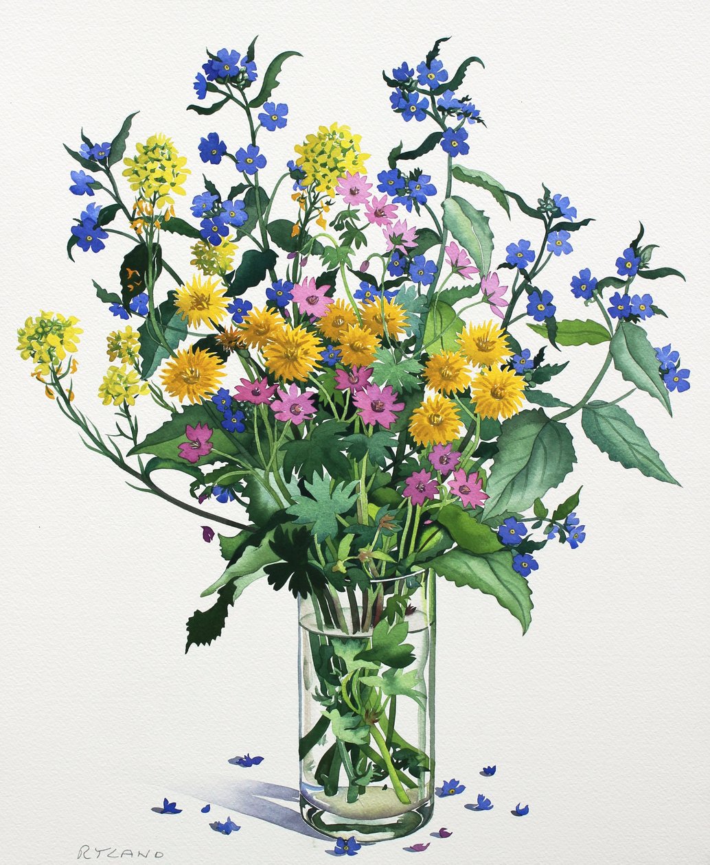 Flores Silvestres con Alkanet, 2021 de Christopher Ryland