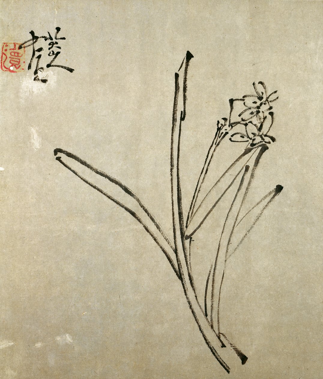 Narciso de Chu Ta