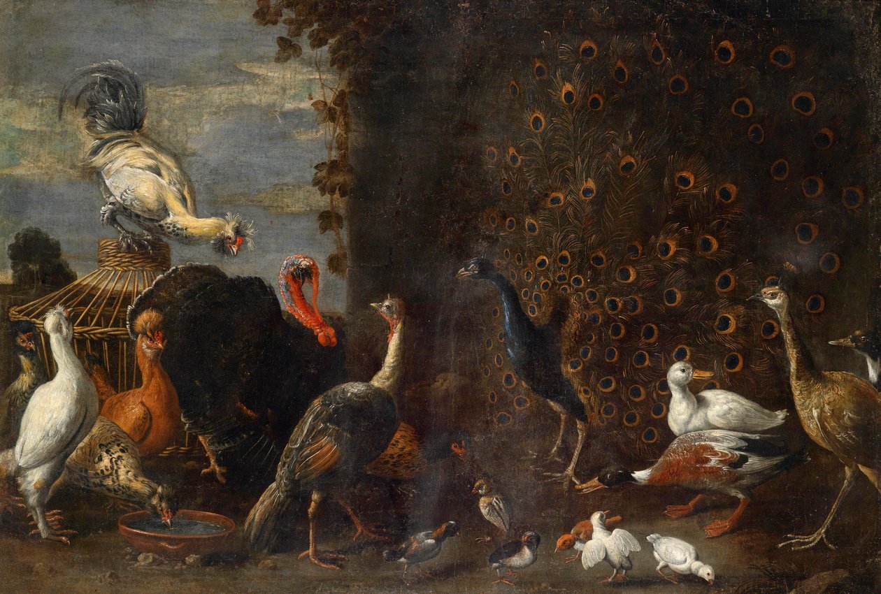 Gallinero con pavo real, pavo y patos de Circle of Adriaen van Utrecht