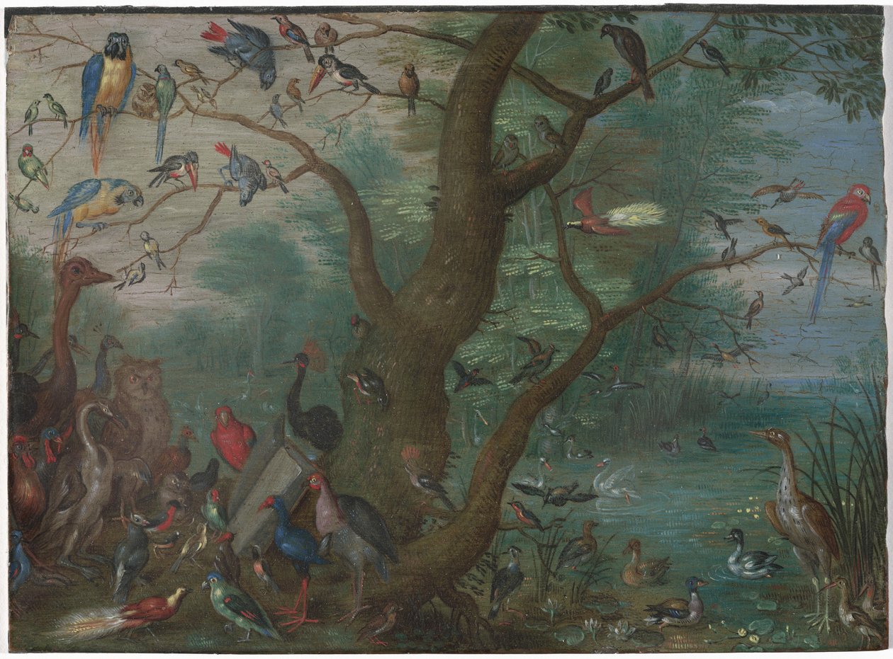 Concierto de pájaros de Circle of Jan van Kessel the Elder