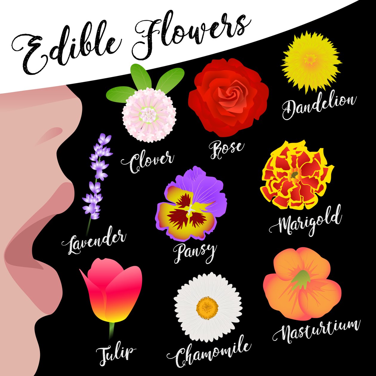 Flores comestibles de Claire Huntley