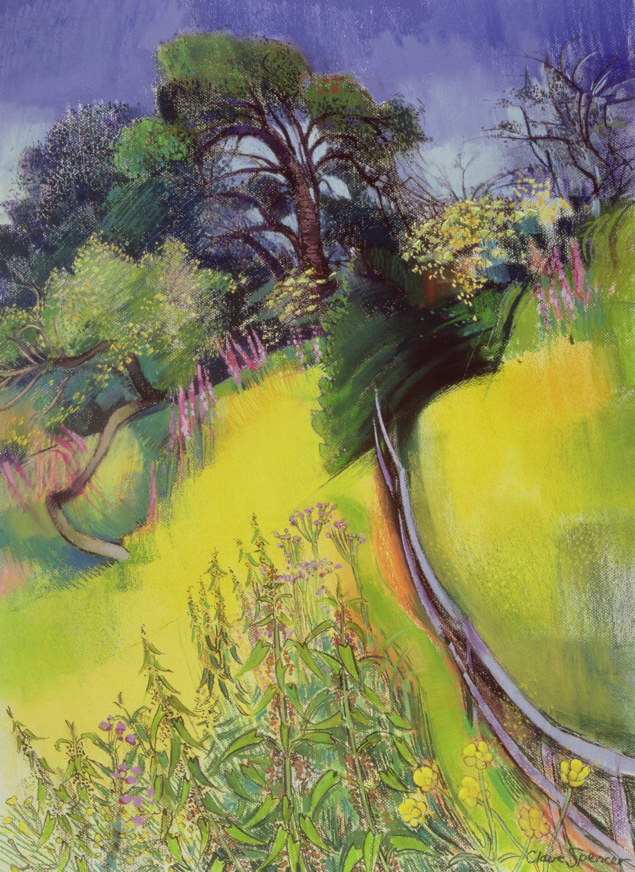 Solsticio de Verano de Claire Spencer