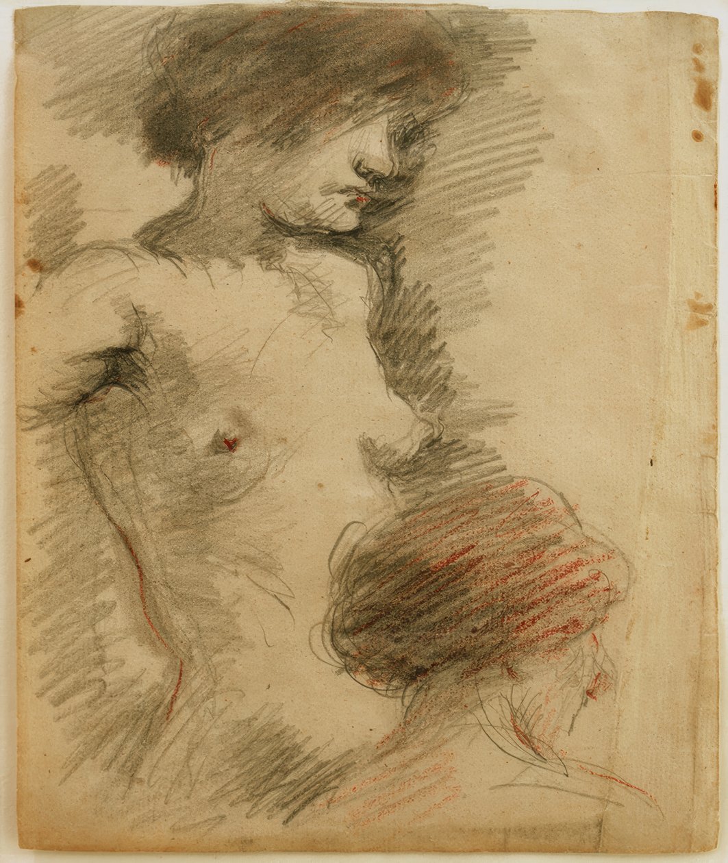 Desnudo femenino de pie, mujer de espaldas delante de Clara Siewert