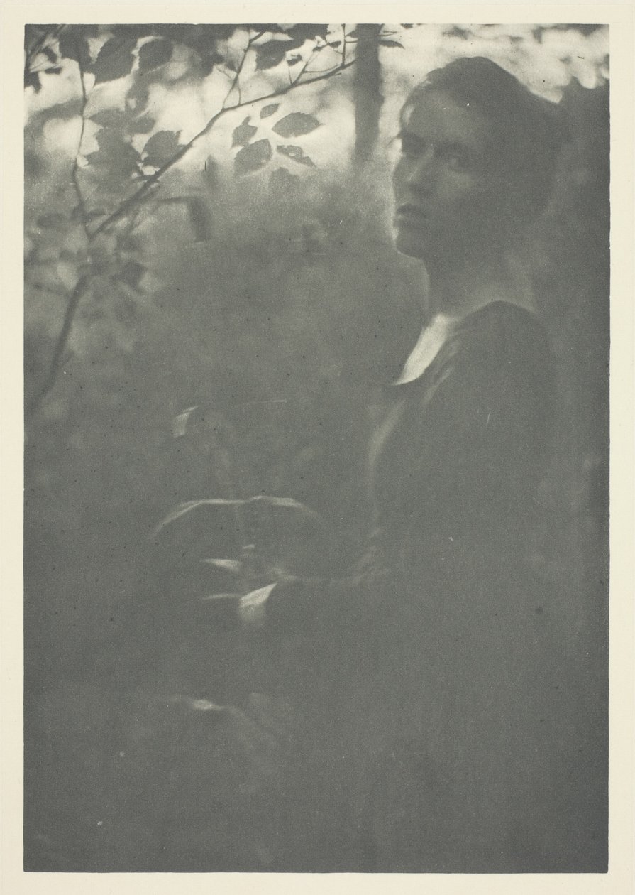 Borde del bosque de Clarence H. White