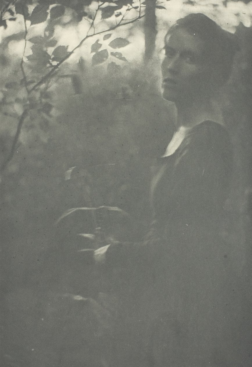 Borde del bosque, c. 1899 de Clarence H White