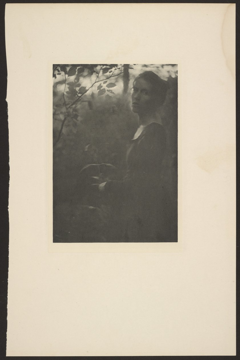 [Edge of the Woods -- Evening] de Clarence H. White