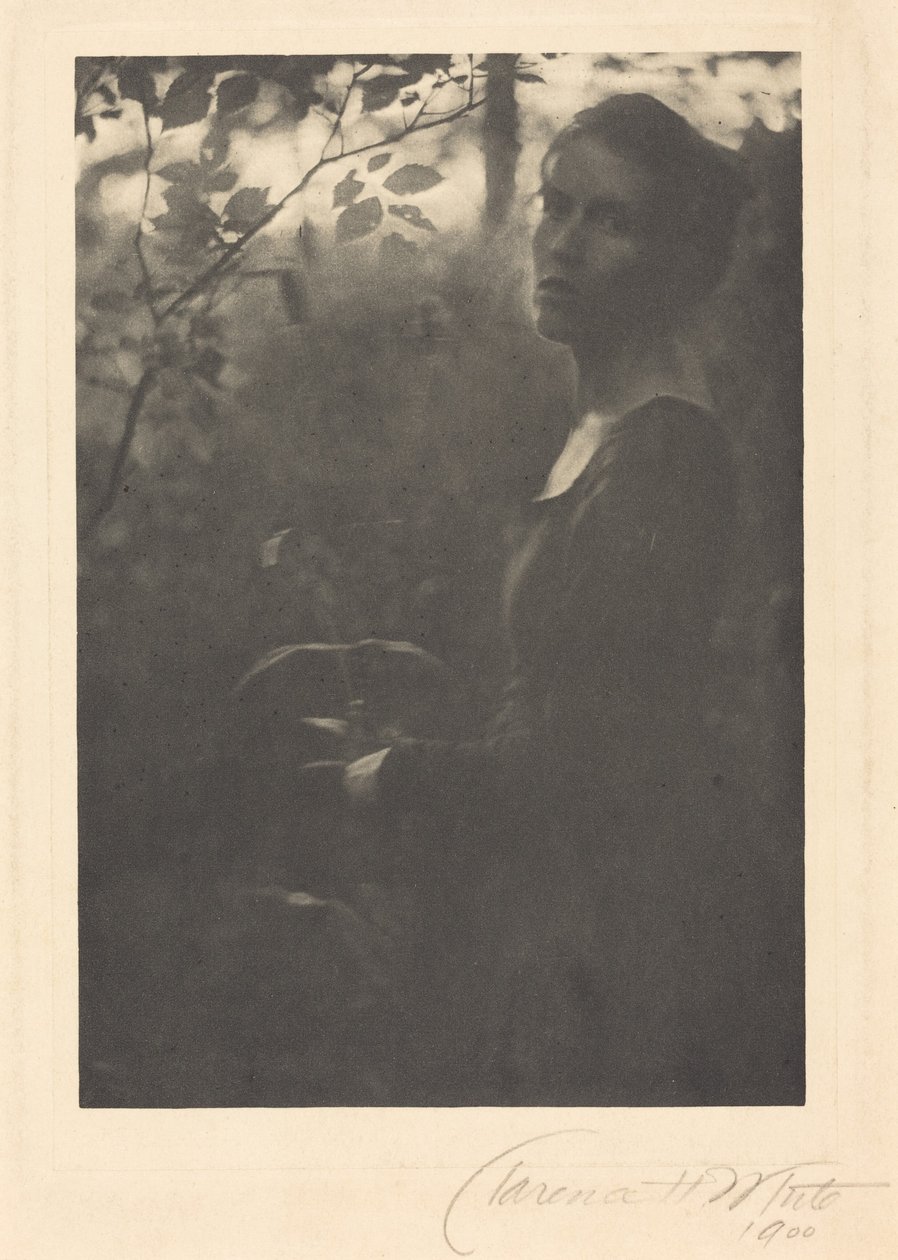 Edge of the Woods, atardecer,1900 (foto) de Clarence Henry White