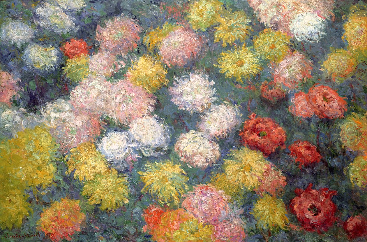 Crisantemos, 1897 de Claude Monet