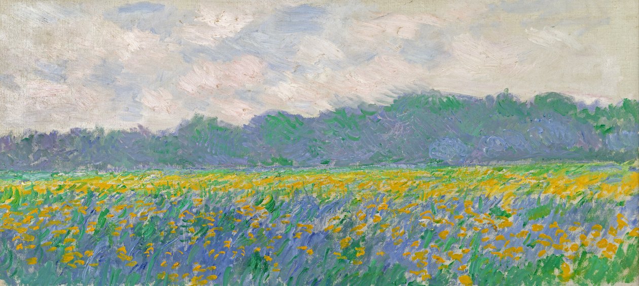 Campo de lirios amarillos en Giverny, 1887 de Claude Monet